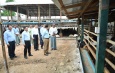 Chairman of State Administration Council Prime Minister Senior General Min Aung Hlaing visits private livestock businesses and local production industries in Meiktila District