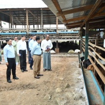 Chairman of State Administration Council Prime Minister Senior General Min Aung Hlaing visits private livestock businesses and local production industries in Meiktila District