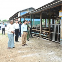 နိုင်ငံတော်စီမံအုပ်ချုပ်ရေးကောင်စီဥက္ကဋ္ဌ နိုင်ငံတော်ဝန်ကြီးချုပ်ဗိုလ်ချုပ်မှူးကြီး မင်းအောင်လှိုင် မိတ္ထီလာခရိုင်အတွင်းရှိ ပုဂ္ဂလိကမွေးမြူရေးလုပ်ငန်းများနှင့် ဒေသထုတ်ကုန်လုပ်ငန်း ဆောင်ရွက်နေမှုများအား သွားရောက်ကြည့်ရှုအားပေး