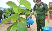ကာကွယ်ရေးဦးစီးချုပ်ရုံး(ကြည်း၊ ရေ၊ လေ) မိသားစုများ၏  ၂၀၂၄ ခုနှစ် ဒုတိယအကြိမ် မိုးရာသီသစ်ပင်စိုက်ပျိုးပွဲကျင်းပပြုလုပ်