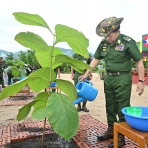 ကာကွယ်ရေးဦးစီးချုပ်ရုံး(ကြည်း၊ ရေ၊ လေ) မိသားစုများ၏  ၂၀၂၄ ခုနှစ် ဒုတိယအကြိမ် မိုးရာသီသစ်ပင်စိုက်ပျိုးပွဲကျင်းပပြုလုပ်