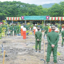 Families of Office of the Commander-in-Chief (Army, Navy and Air) hold fourth monsoon tree-growing ceremony 2023