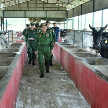 Chairman of State Administration Council Commander-in-Chief of Defence Services Senior General Min Aung Hlaing inspects Konmyint 1 farm of North-East Command