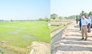 Chairman of State Administration Council Prime Minister Senior General Min Aung Hlaing inspects progress in conducting agricultural activities in Zeyathiri and Tatkon townships, Nay Pyi Taw Council Area