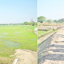 Chairman of State Administration Council Prime Minister Senior General Min Aung Hlaing inspects progress in conducting agricultural activities in Zeyathiri and Tatkon townships, Nay Pyi Taw Council Area